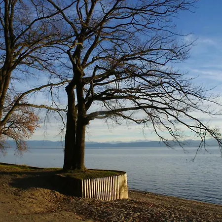 Апартаменты Pfaender *