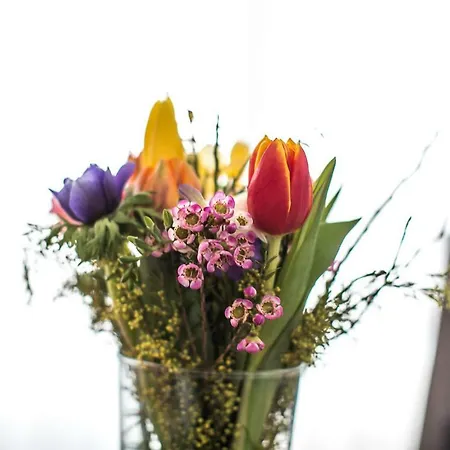 Lejlighed Pfaender Friedrichshafen