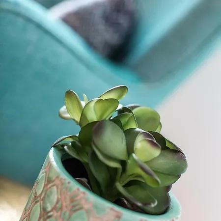 Pfaender * Фридрихсхафен