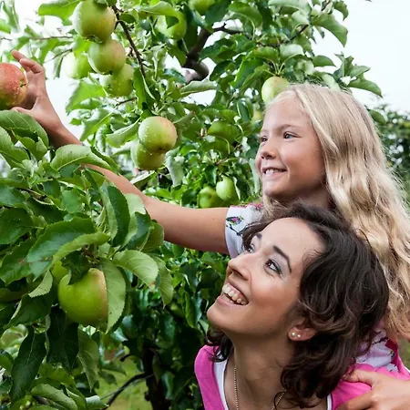 Pfaender * Friedrichshafen